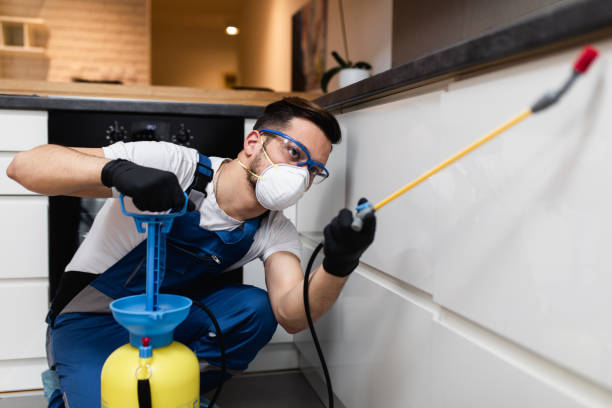 Best Mosquito Control Services  in Southwest Ranches, FL