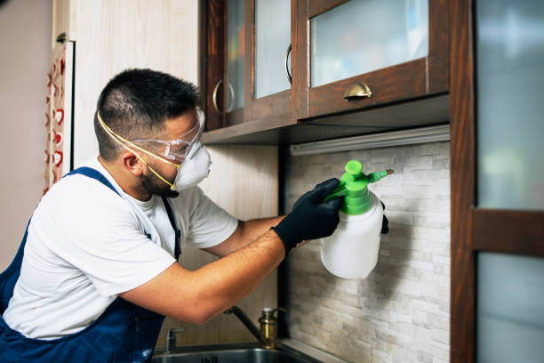 Best Best Pest Control Companies  in Southwest Ranches, FL