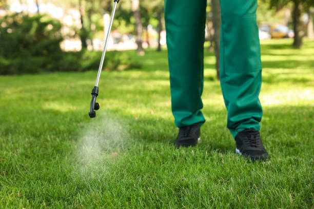 Flea Control Services in Southwest Ranches, FL