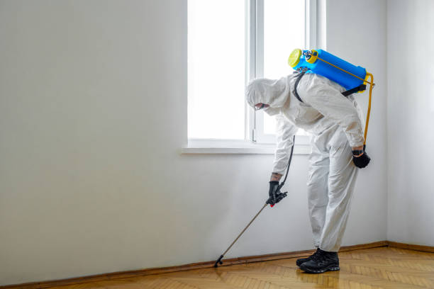 Professional Pest Control in Southwest Ranches, FL