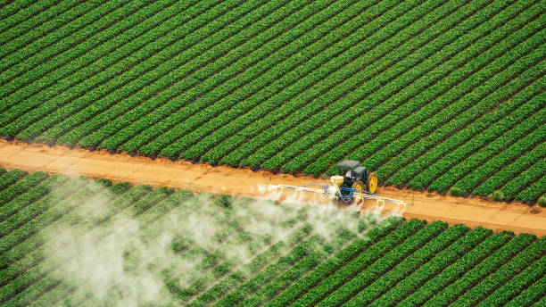Best Pest Control Near Me  in Southwest Ranches, FL