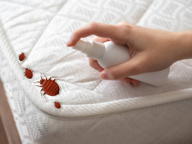 Best Insect Control  in Southwest Ranches, FL