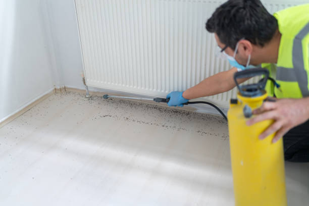 Best Rat Extermination Near Me  in Southwest Ranches, FL
