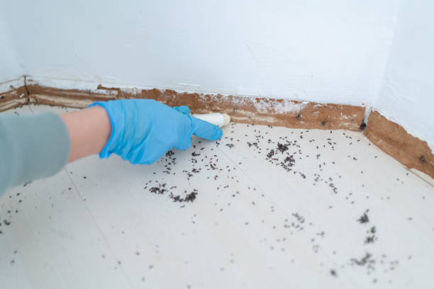 Best Commercial Pest Control Services  in Southwest Ranches, FL